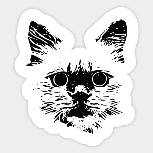 Ragdoll Face Design - A Ragdoll Cat Gift Sticker